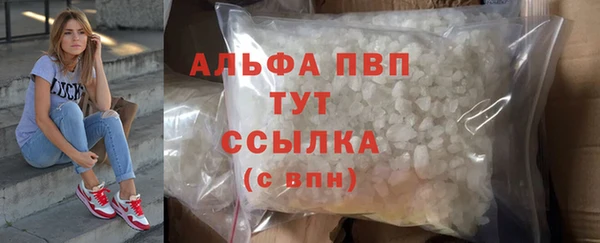 гидра Киренск
