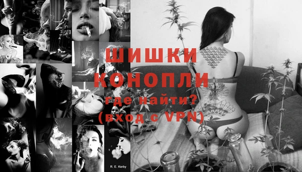 ГАЛЛЮЦИНОГЕННЫЕ ГРИБЫ Касимов