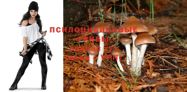 гидра Киренск