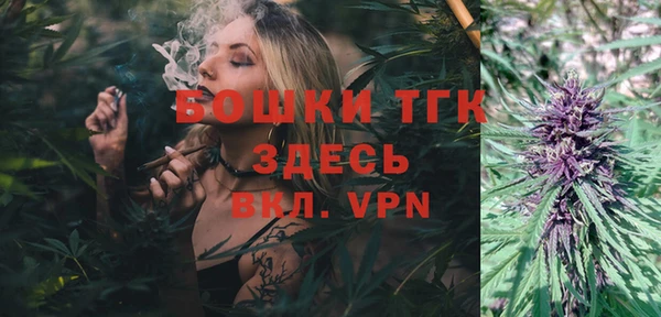 ГАЛЛЮЦИНОГЕННЫЕ ГРИБЫ Касимов