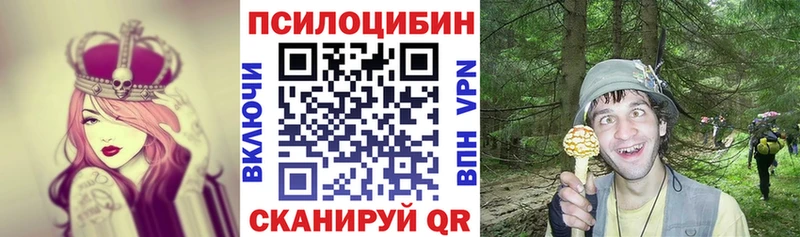 Купить где  Долинск  Псилоцибиновые грибы Psilocybe 