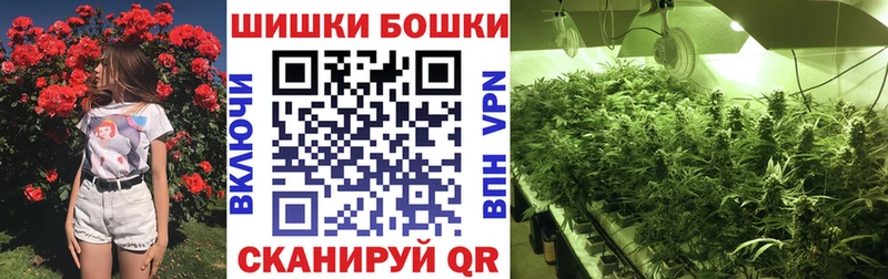 Марихуана Amnesia  Купить закладки  Долинск 